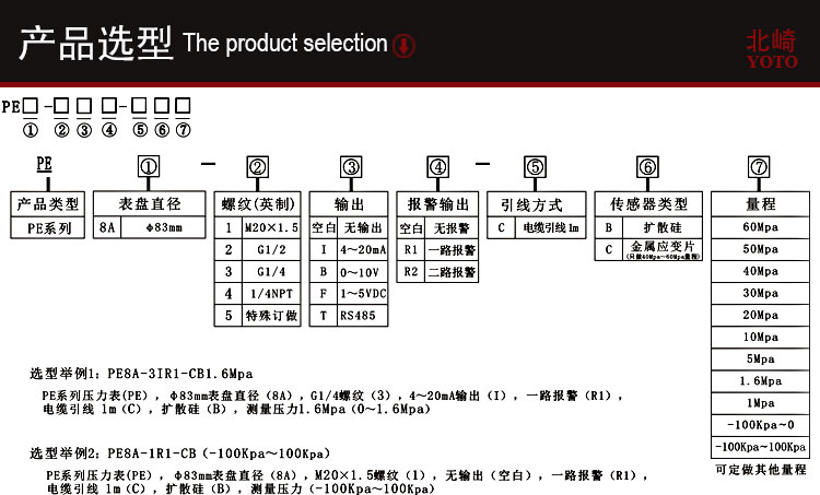 PE8A工業(yè)型數(shù)顯壓力表_04 PE8A工業(yè)型數(shù)顯壓力表_04